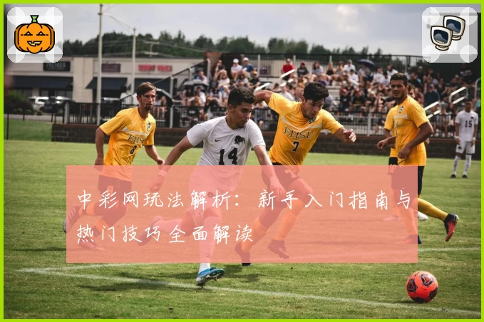 中彩网玩法解析：新手入门指南与热门技巧全面解读