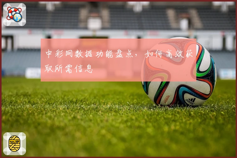 中彩网数据功能盘点，如何高效获取所需信息