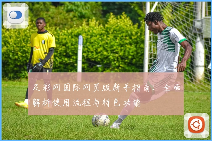 足彩网国际网页版新手指南：全面解析使用流程与特色功能