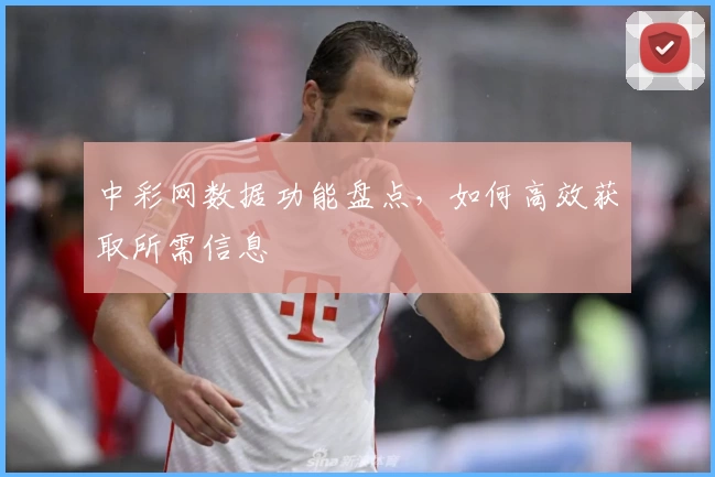 中彩网数据功能盘点，如何高效获取所需信息