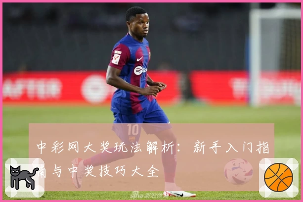 中彩网大奖玩法解析：新手入门指南与中奖技巧大全