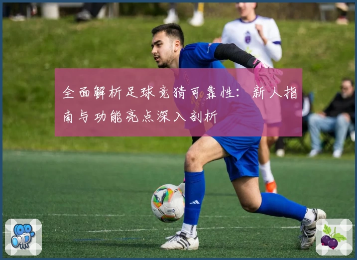 全面解析足球竞猜可靠性：新人指南与功能亮点深入剖析